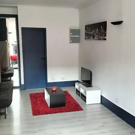 Apartman Charles Iii Hyper Centre 2 Pers -menage Ecologique Nancy